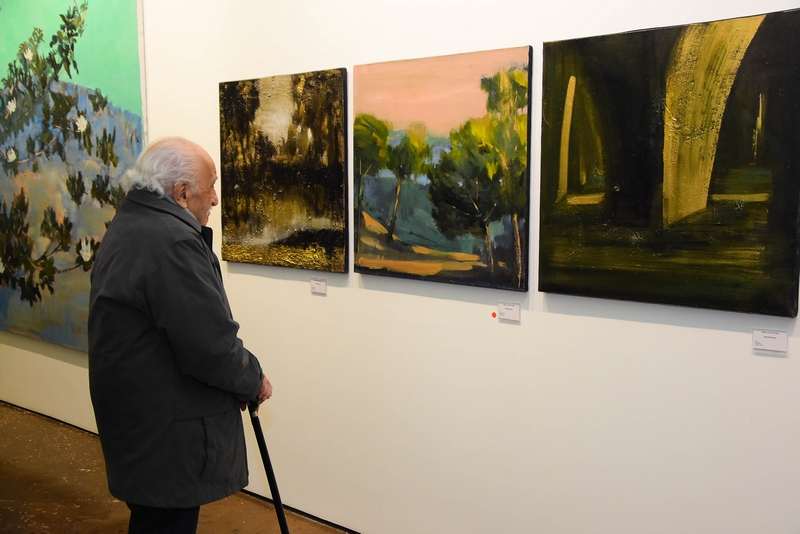 A Walk in the Paysages Intérieurs of David Daoud